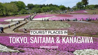 Tourist places in Tokyo, Saitama \u0026 Kanagawa | Spring 2019