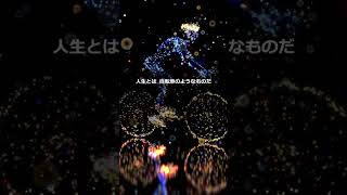 名言・格言【人生とは自転車のようなものだ。倒れないようにするには、走り続けなければならない。 アルベルト・アインシュタイン】#shorts