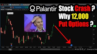 Palantir Stock Crash? Why 12,000 Put Options on PLTR?