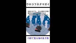 【スケーリーフット】15秒でわかるウロコフネタマガイ【ゆっくり解説】　#Shorts