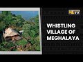 KONGTHONG VILLAGE - THE ‘WHISTLING VILLAGE OF MEGHALAYA’