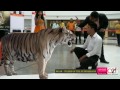 shekhar face to face with the tigers of the sundarbans