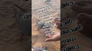 കൊല്ലം ബീച്ചിൽ നിന്നും🥰 Oru nokku kanuvan song lyrics #shortfeeds #music #malayalamsonglyrics