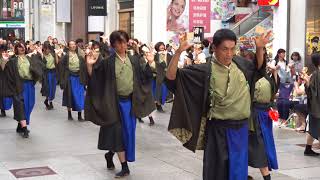 ダンスクリームＡＺＵＫＩ（よさこい祭り2017・帯屋町）