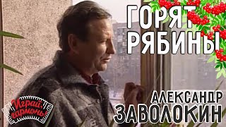 Играй, гармонь! | Александр Заволокин | Горят рябины