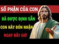 Số Phận Của Con Đã Được Định Sẵn: Lời Nhắn Từ Ta Hé Lộ Sự Thật | Ân Điển Từ Chúa