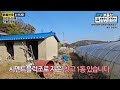 강화도 구옥매매 서까래 대들보 중정 고려산마을 시골집 매매