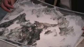 Special Techniques in Sumi and Watercor Landscape(1)