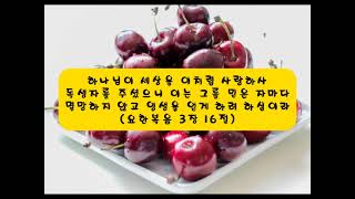 [색깔복음1]🍀 과일속에 숨겨진 놀라운 이야기!ㅣ 과일속에 숨은 복음의 비밀 함께 찾아보아요.!ㅣ 달콤한 과일속 복음의 메세지! #색깔복음 #복음 #유치부 #유년부 #초등부 #전도