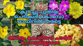 🌿🌹🥰കൊറിയർ ചാർജ് ഇല്ലാതെ ഈ കോമ്പോ ഓഫറുകൾ ഈ ആഴ്ച വാങ്ങാം #reels #flowers #plants