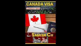 How to Apply Canada Visa | Canada Visa Ratio 2025 | Canada Visa | Nile Consultant