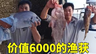 大鋒子今天釣魚是一條接著一條，不斷上鈎，總价値6000元的漁獲讓大鋒子笑得合不攏嘴#釣魚#海釣#赶海