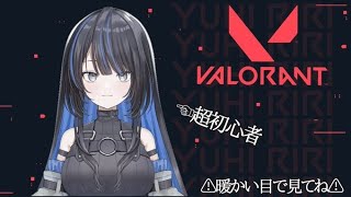 VALORANT 配信落ちごめんなさい…