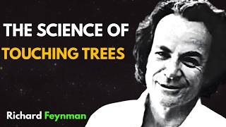 Why You Should Touch a Tree Every Day — The Surprising Science Behind Tree Hugging”