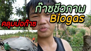 คลุมบ่อก๊าซชีวภาพ | EP.3