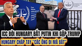 ICC Đòi Hungary Bắt Putin Khi Gặp Trump: Hungary Chắp Tay 