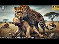 WILD SAVANNAH| Survival Stories from Africa’s Most Dangerous Predators | Animal Documentary