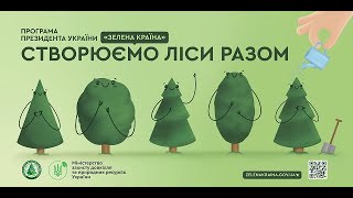 Створюємо ліси разом. Маньківське лісництво ДП \