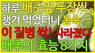 배추의 효능 8가지, 매일 배춧잎 두 장만 챙겨 먹어도 이 질병 싹 사라집니다.