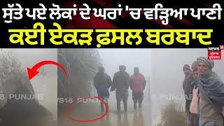 Abohar News | ਸੁੱਤੇ ਪਏ ਲੋਕਾਂ ਦੇ ਘਰਾਂ 'ਚ ਵੜ੍ਹਿਆ ਪਾਣੀ, ਏਕੜ ਫ਼ਸਲ ਬਰਬਾਦ | Canal Breach | N18V