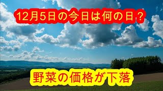 12月5日の今日は何の日？