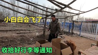 阿克苏终于也取消全员核酸了，是不是快放开了？收拾整理下行李