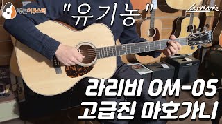 [라리비기타] 라리비 OM-05 기타 리뷰 (Larrivee OM-05 Guitar Review)