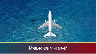 বেশিরভাগ বিমান কেন সাদা রঙের হয়? | Aeroplane Colour | History | Dhaka Post Digital