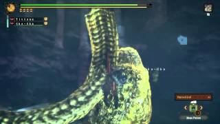 MH3U Goldbeard Ceadeus Solo 5:26 with one chatard