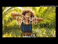 DJ NEZZ ..gatho re remix (2023.) island vibes..