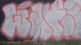 Phoenix graffiti 3