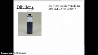 Kinetics of Crystal Violet Lab Overview