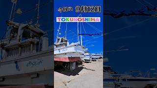 【Tokunoshima】今日の徳之島  2024/9/12【徳之島】#shorts #亀津 #徳之島 #９月  #台風