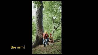 Armillaria Ostoyae: The World's Largest Living Organism