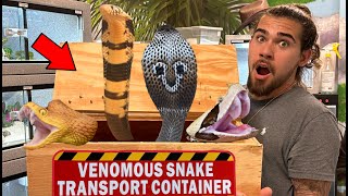 Unboxing 4 New VENOMOUS Snakes!!!