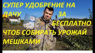 СУПЕР УДОБРЕНИЕ ДЛЯ ДАЧИ ЗА БЕСПЛАТНО,УНИВЕРСАЛЬНОЕ ДЛЯ ВСЕГО, УРОЖАЙ БУДЕТЕ СОБИРАТЬ МЕШКАМИ.