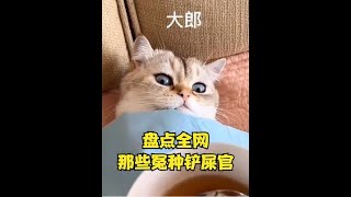 盘点那些冤种铲屎官，摊上了不干人事的主人 #萌宠  #狗狗  #猫咪