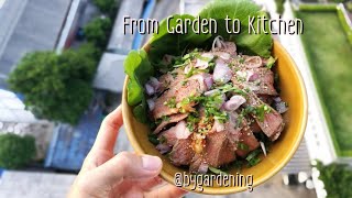 From Garden to Kitchen - ข้าวหน้าสเต็กเนื้อจิ้มแจ่ว