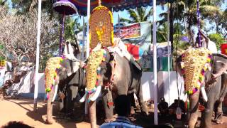 Kodimoottil Pakalpooram 2015 08-03-2015