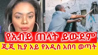 ጂጂ ኪያ አረምን ነውGEGE KIYA / GIGI KIYA / YONI MAGNA FANI and SAMRI EBS FUNNY TIKTOK  @seifuonebs