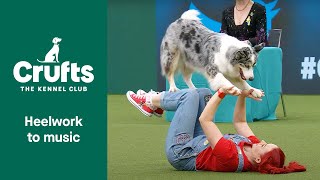Freestyle International Heelwork to Music Competition - Part 3 | Crufts 2022