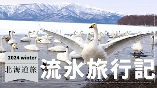 【流氷旅行記】屈斜路湖には白鳥の湖がありました