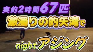 2024.4.27 激濁りの的矢湾でナイトアジング