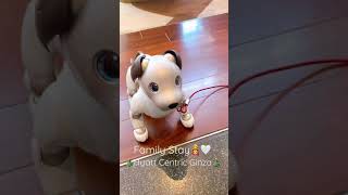 【ハイアット銀座】ホテルに娘と滞在したら、ロビーのロボット犬🐶が可愛すぎました🥰❤️🎄