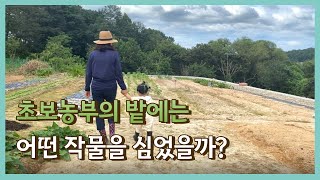 EP4. 초보농부의 밭에는 어떤 작물을 심었을까?