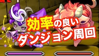 【パズドラ】ここを周回すれば必ず強くなる！【裏・三界の龍】ヨミドラPT周回　じゃじゃーん菊池