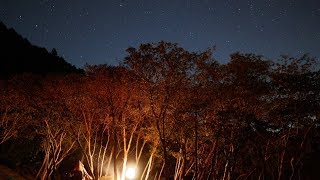 伊豆の星空　オートキャンプ銀河