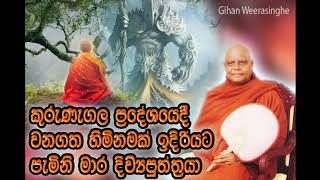 වරක් කුරුණෑගල ආරන්‍යවාසි හිමිනමක් ඉදිරියේත් මාරදිව්‍ය පුත්‍රයා පෙනීසිටියා nauyane ariyadhamma  thero