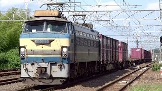 JR貨物 EF66-27 貨物列車 (5073レ ゼロロク ニーナ) 東海道本線 関ケ原駅