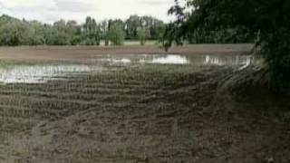 Heavy rain, tree limbs fall during storm